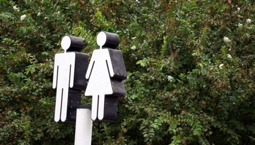 gender-norm